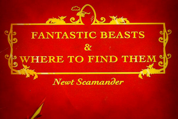 Fantastic beasts and where to find them